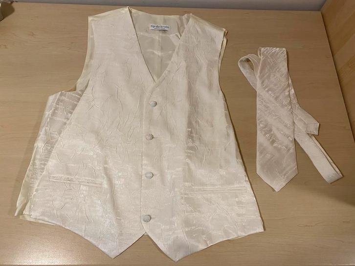 Tip de Bruin Amsterdam Gilet met stropdas, Kleding | Heren, Overige Herenkleding, Zo goed als nieuw, Ophalen of Verzenden