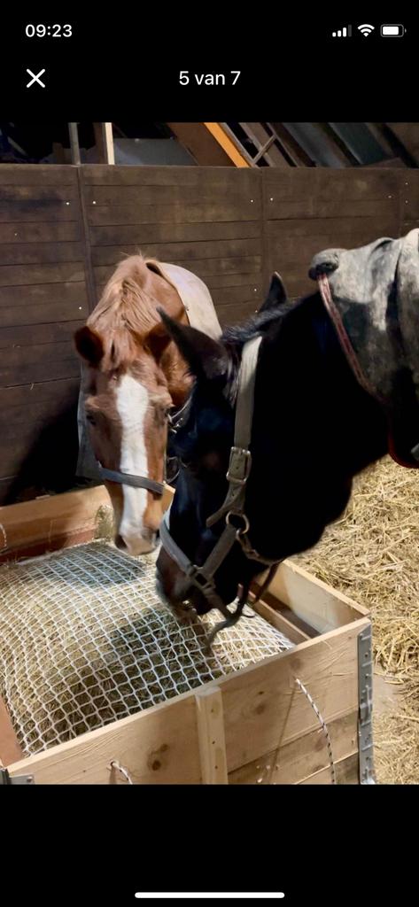 Hooiruif - slowfeeder