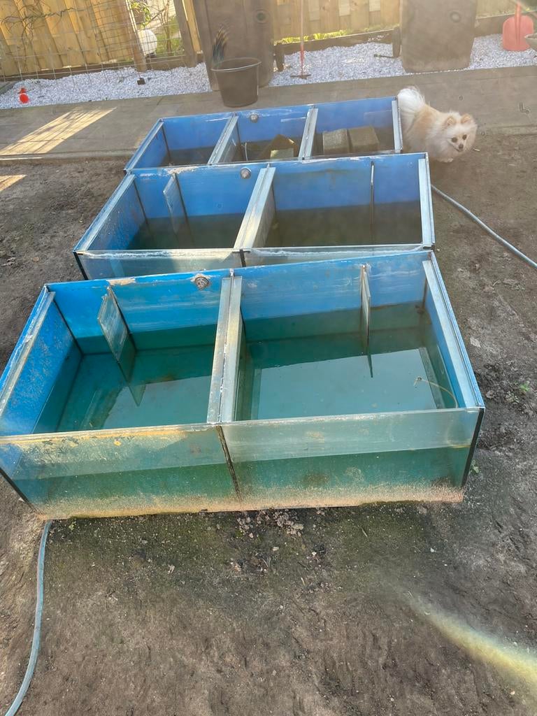 Kweekstelling met 4 bakken, Dieren en Toebehoren, Vissen | Aquaria en Toebehoren, Ophalen, Zo goed als nieuw