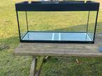 Compleet Aquarium + Canister Filter + Veel Accessoires, Ophalen of Verzenden, Verlichting of Verwarming
