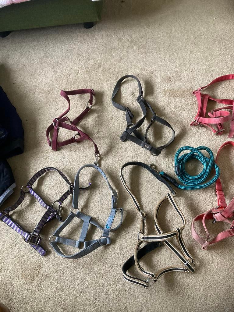 Diverse halsters, Ophalen, Gebruikt, Overige soorten