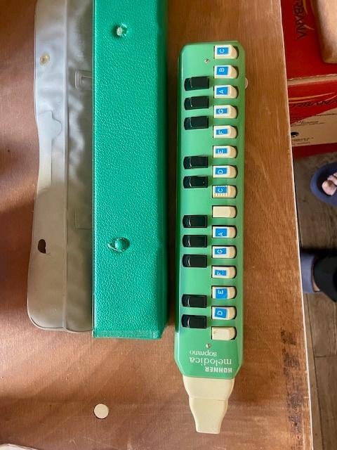 melodica, Ophalen of Verzenden, Gebruikt, Overige typen, Met koffer of doosje