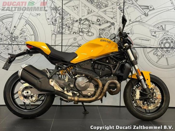 Ducati MONSTER 821 (bj 2019), Motoren, Motoren | Ducati, Bedrijf, Naked bike, meer dan 35 kW