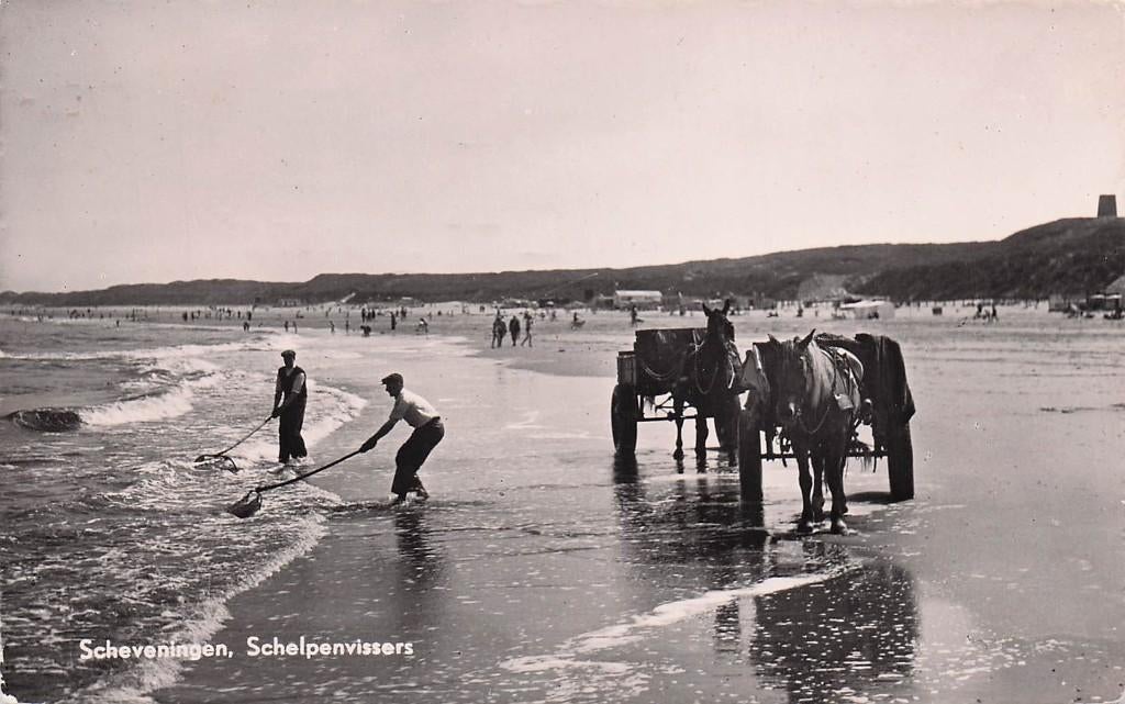 Scheveningen - Schelpenvissers (MAAR ANDERS) 1956, Ophalen of Verzenden, 1940 tot 1960, Gelopen, Zuid-Holland