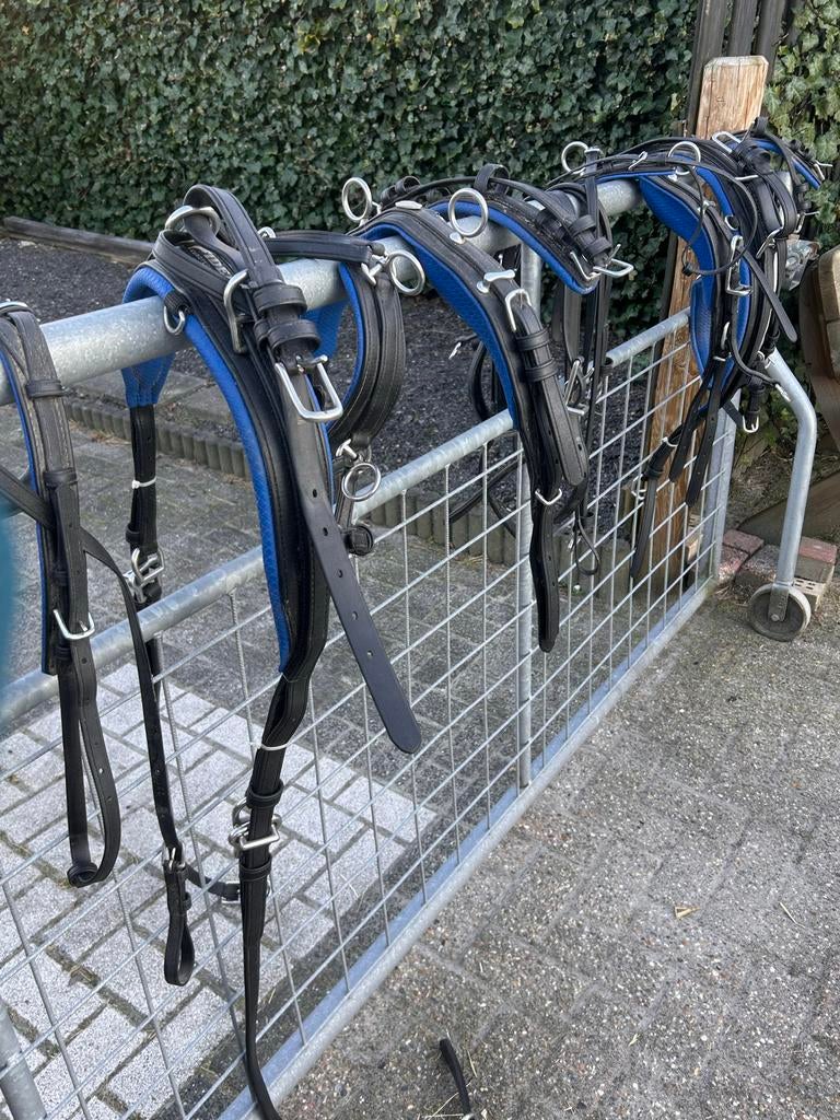 2 spantuig ideal euro tech maat mini shet, Dieren en Toebehoren, Ophalen of Verzenden, Overige soorten