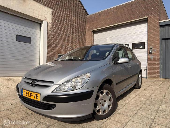 Peugeot 307 1.6-16V XS, Auto's, Peugeot, Bedrijf, ABS, Airbags, Airconditioning, Alarm, Boordcomputer, Centrale vergrendeling