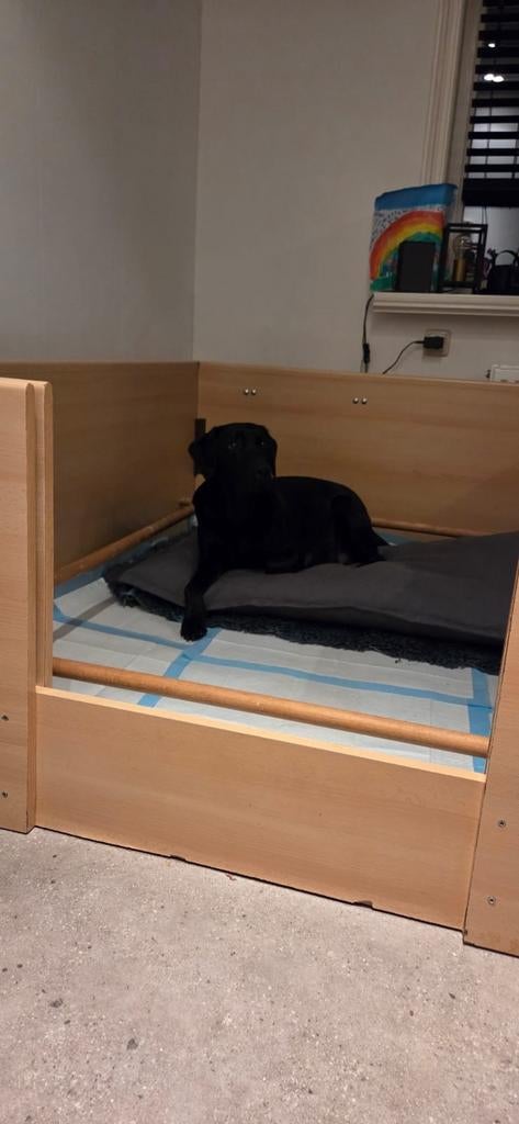 Werpkist 150x130x60 demontabel, Dieren en Toebehoren, Hondenhokken, Ophalen