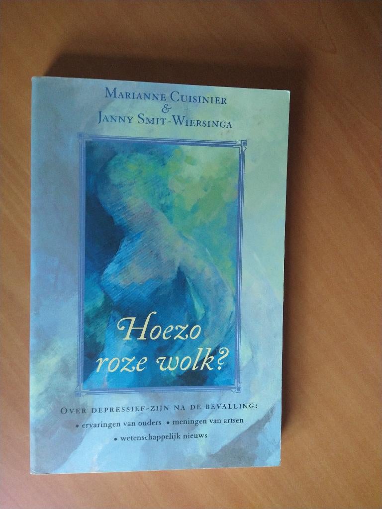 Hoezo roze wolk? Over depressief zijn na de bevalling, Ophalen of Verzenden, Zo goed als nieuw