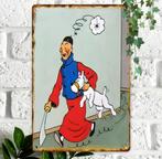 Nieuwe stijve aluminum plaat van Kuifje, Ophalen of Verzenden, Nieuw, Overige typen