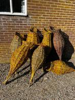 Eendenkorf, Mannelijk