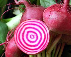 Bieten Borsch, Tuin en Terras, Bloembollen en Zaden, Zaad, Voorjaar, Volle zon, Ophalen of Verzenden