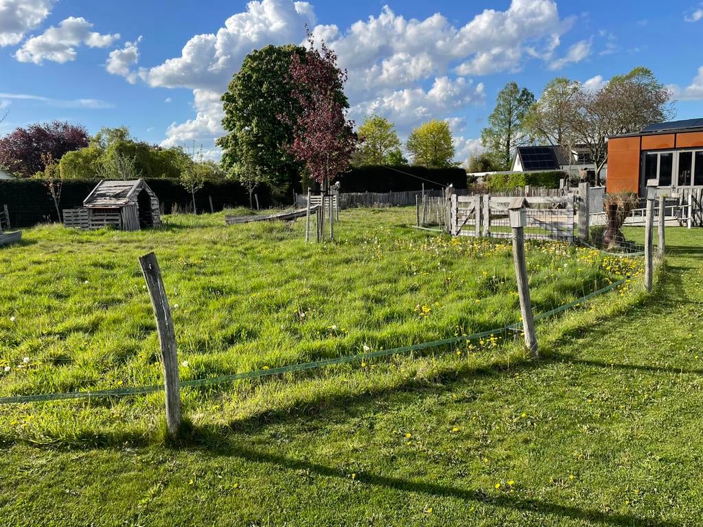 Wei gratis begrazen voor bv schapen, Dieren en Toebehoren, Schapen, Geiten en Varkens