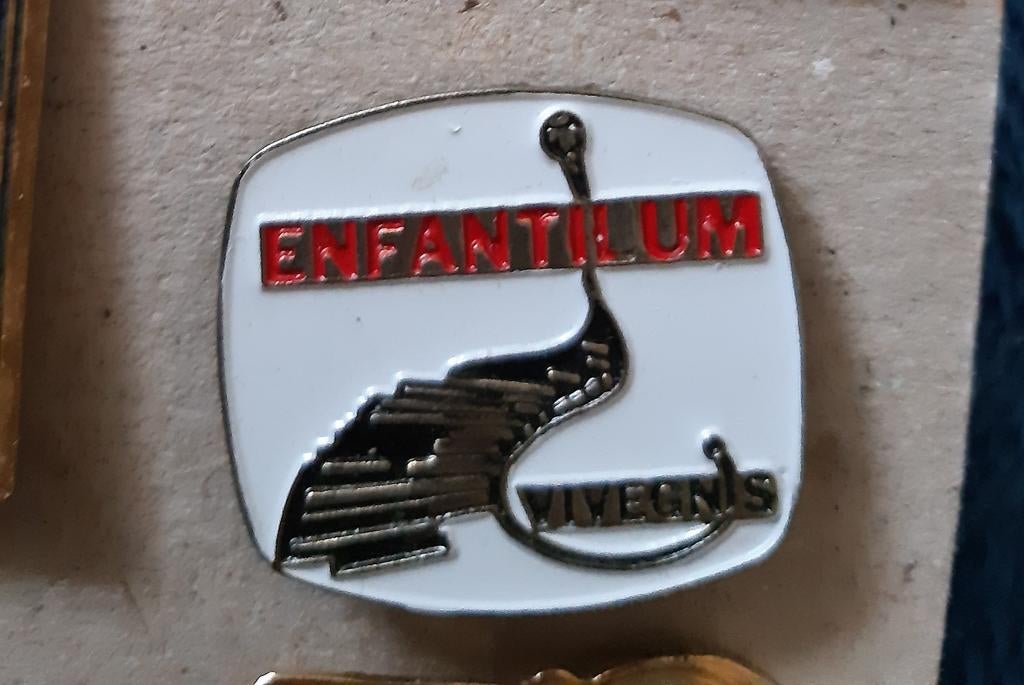 Pin Enfanthum, Ophalen of Verzenden, Nieuw, Overige onderwerpen, Speldje of Pin