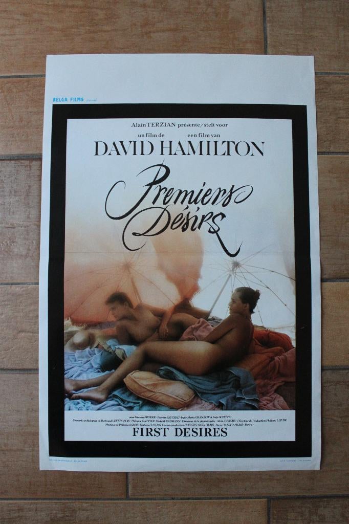 filmaffiche David Hamilton Premiers Désirs filmposter, Rechthoekig Staand, Ophalen of Verzenden, Zo goed als nieuw, A1 t/m A3