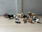 Verschillende schleich honden, Ophalen of Verzenden, Zo goed als nieuw, Hond of Kat, Beeldje of Figuurtje