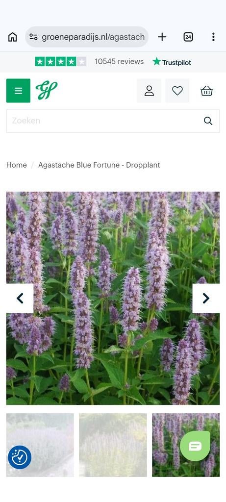 Dropplanten, biologisch gekweekt , bijna uitverkocht, Tuin en Terras, Planten | Tuinplanten, Ophalen, Overige soorten, Volle zon