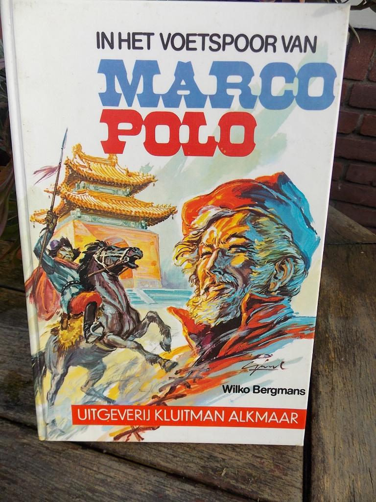 In het voetspoor van marco polo - wilko bergmans - boek, Boeken, Ophalen of Verzenden, Gelezen