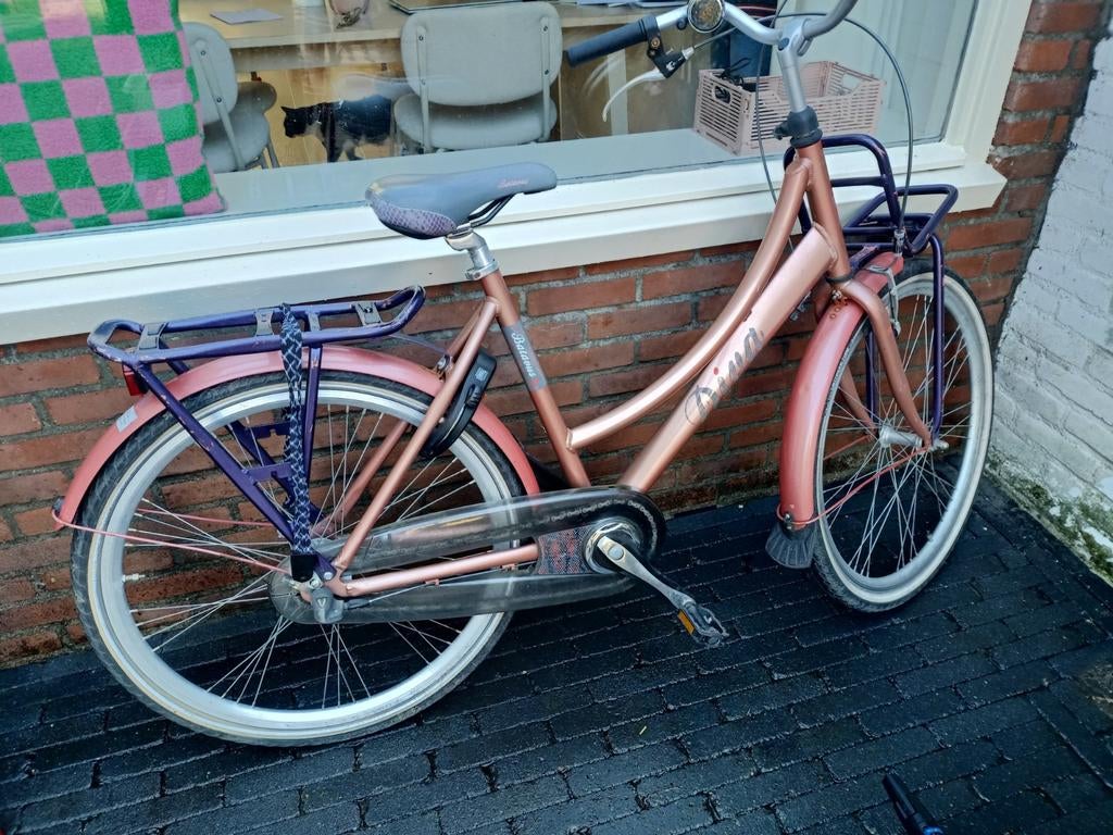 Batavus kinderfiets, Fietsen en Brommers, Ophalen of Verzenden, Gebruikt, 24 inch