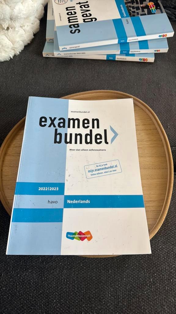 M. Reints - havo Nederlands 2022/2023, Boeken, Schoolboeken, Zo goed als nieuw, Nederlands, HAVO, Ophalen of Verzenden