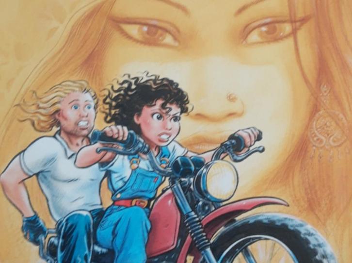 2x Sam (Bosschaert en Legendre), Boeken, Stripboeken, Gelezen, Meerdere stripboeken, Verzenden