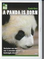 DVD BOX PANDA STORY 3X DVD, Alle leeftijden, Boxset, Natuur, Ophalen of Verzenden
