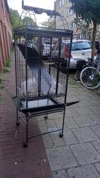 Strong Villa Sara - Papegaaienkooi, Dieren en Toebehoren, Ophalen of Verzenden, Zo goed als nieuw, Metaal, Vogelkooi