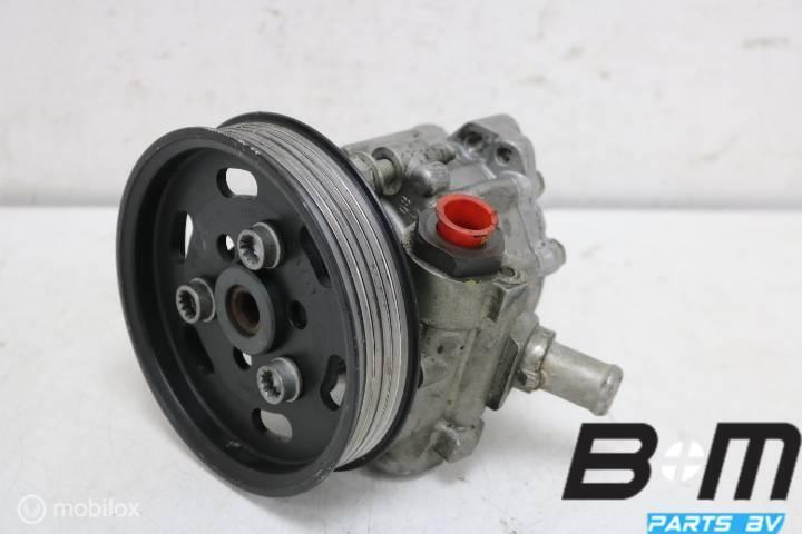 Vleugelpomp 2.0 TDI Audi A4 8E 8E0145155N, Gebruikt