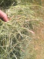 Ronde balen, Ophalen, Vee