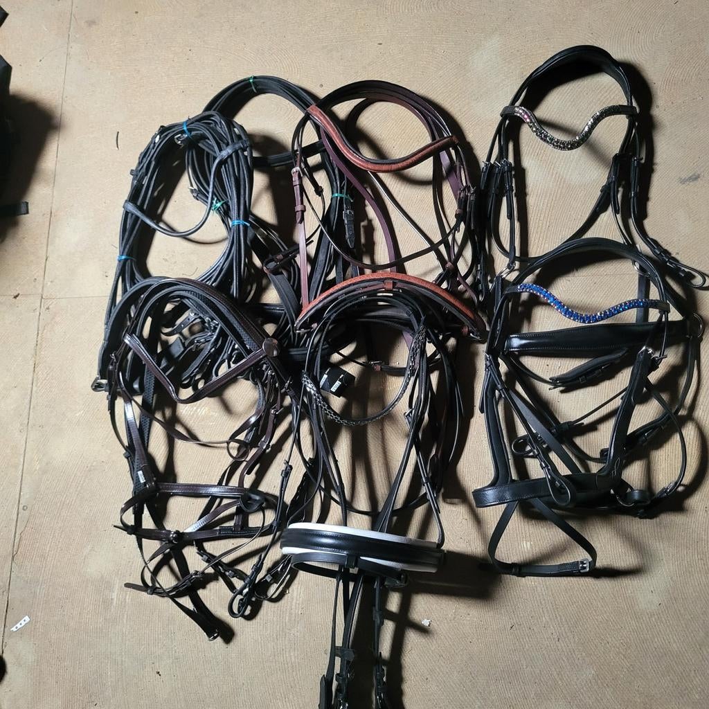 Partij hoofdstellen, Ophalen of Verzenden, Nieuw, Dressuur