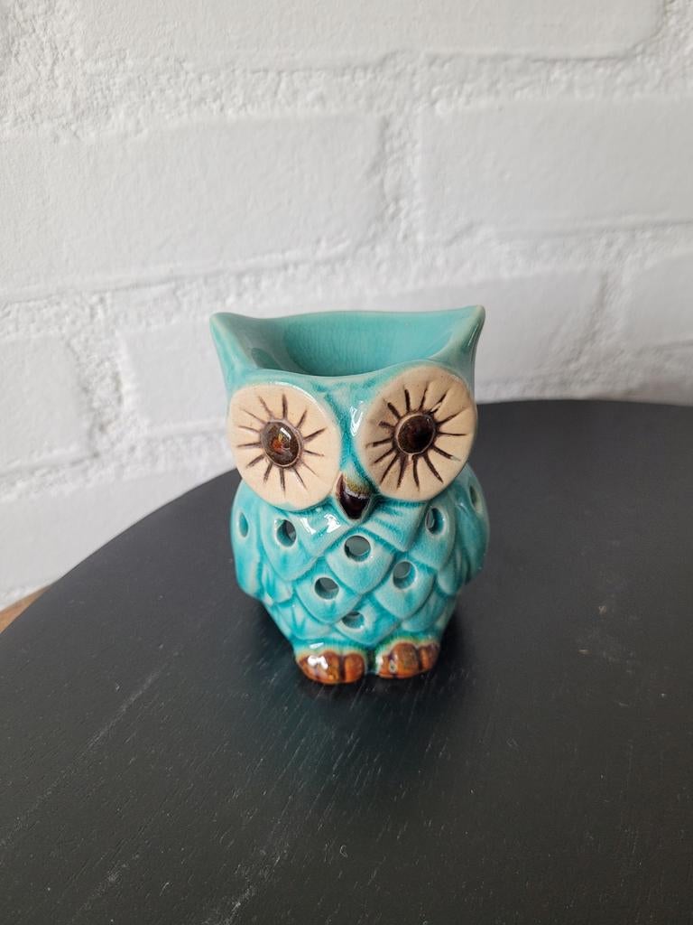 Uil, Ophalen of Verzenden, Zo goed als nieuw, Dier