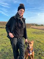 Honden opvang/oppas Rotterdam-Charlois/Dog Daycare/DogSitter, Diensten en Vakmensen, Dieren | Honden | Verzorging, Oppas en Les