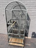 papegaaienkooi, Dieren en Toebehoren, Vogels | Hokken en Kooien, Ophalen of Verzenden, Zo goed als nieuw, Metaal, Vogelkooi