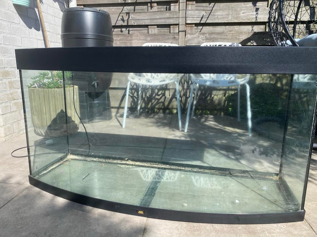Juwel vision 260 aquarium, Dieren en Toebehoren, Vissen | Aquaria en Toebehoren, Ophalen of Verzenden, Gebruikt, Leeg aquarium