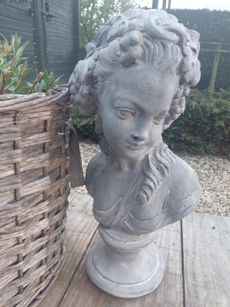 Borstbeeld, Ophalen of Verzenden