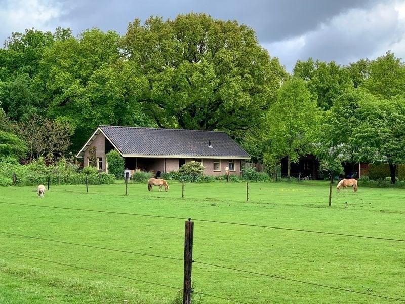 NIEUW! Woonruimte te huur Schuineslootweg, Schuinesloot, Huizen en Kamers