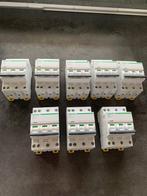 SCHNEIDER DIVERSE 3-POLIGE + NUL AUTOMATEN, Hobby en Vrije tijd, Ophalen of Verzenden, Nieuw