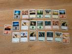 Magic the Gathering kaarten - Diverse set, Hobby en Vrije tijd, Verzamelkaartspellen | Magic the Gathering, Ophalen of Verzenden