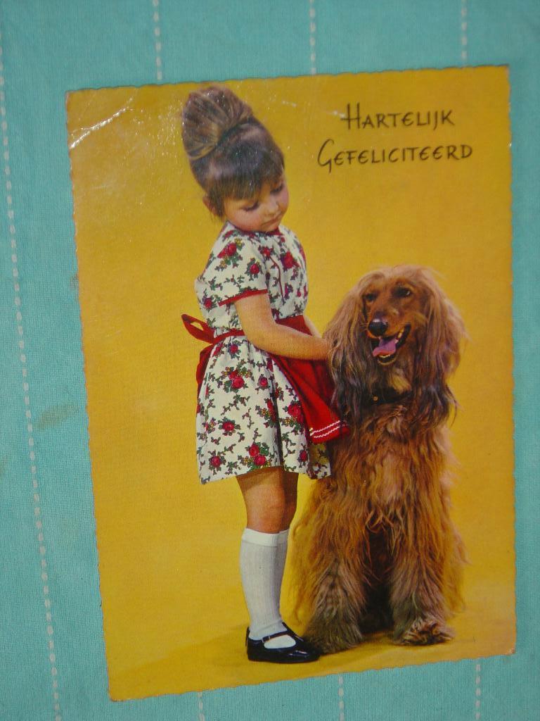 15) Kleuren ansichtkaart kind met Hond, Verzamelen, Ophalen of Verzenden, 1960 tot 1980, Gelopen, Hond of Kat