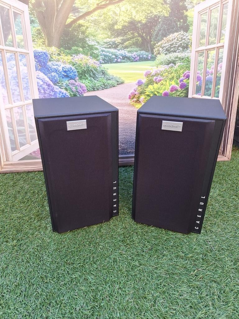 Quadral Caerul speakers met muursteun, Ophalen