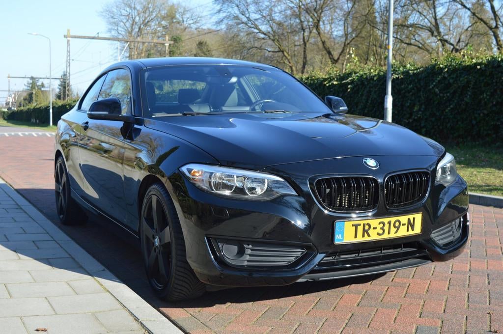 BMW 2-serie Coupé 220i High Exe nw ketting+gr onderhoud, Auto's, Automaat, 1345 kg, Achterwielaandrijving, Gebruikt