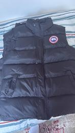 19 bodywarmers partij koop, Kleding | Heren, Bodywarmers, Ophalen of Verzenden, Nieuw, Overige maten, Zwart