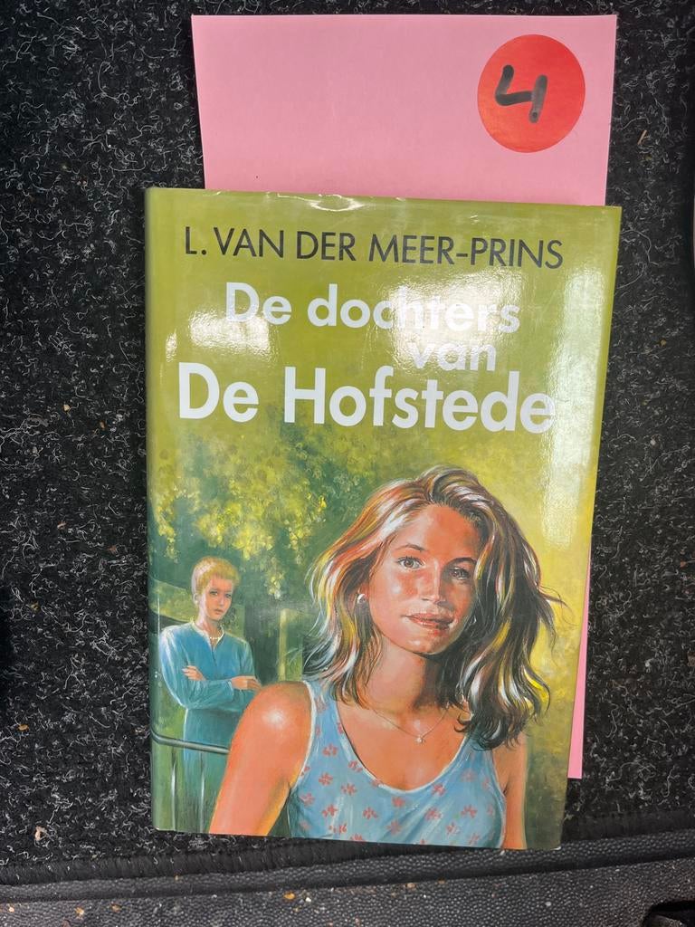 De dochters van De Hofstede - L. van der Meer-Prins, Ophalen of Verzenden, Zo goed als nieuw