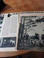 Artikel over jacht Udenhout 1956, Ophalen of Verzenden, 1940 tot 1960, Knipsel(s)