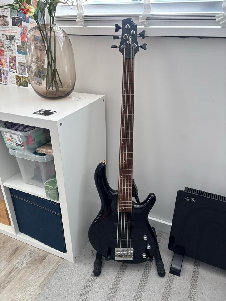 5-snarige basgitaar met standaard en optionele gigbag, Ophalen of Verzenden, Gebruikt, Elektrisch, 5-snarig