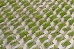 Grasbetontegels 60x40x12, rondom hol-dol, vlakke bovenzijde, Ophalen of Verzenden, Nieuw, Beton, Overige typen