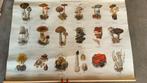 Paddenstoelen Schoolplaat Thieme, Antiek en Kunst, Ophalen of Verzenden