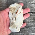 Afslag Spiennes Neolithicum, Ophalen of Verzenden, Mineraal