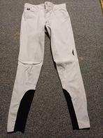 EQUILINE witte heren rijbroek mt 46 met FULLGRIP zitvlak., Dieren en Toebehoren, Gebruikt, Ophalen of Verzenden, Bovenkleding