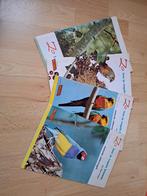 Complete set: Zo leer je vogels kennen, Boeken, Ophalen of Verzenden, Zo goed als nieuw, Vogels