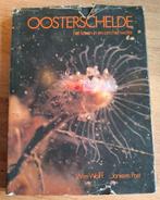 Oosterschelde, het leven in en om het water, Wolff en Post, Boeken, Verzenden, Gelezen, Wolff en Post